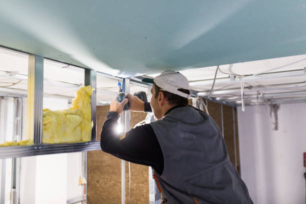 Best Geographic-Specific Insulation Services in Shenorock, NY